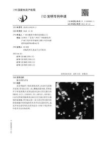 脑炎联检试剂