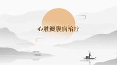 心脏瓣膜病治疗