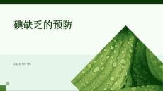 碘缺乏的预防ppt