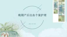 晚期产后出血个案护理ppt