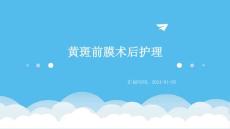 黄斑前膜术后护理ppt
