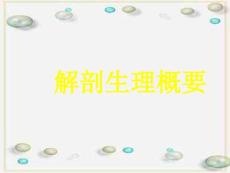 胃十二指肠溃疡