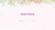 淋病护理常规ppt