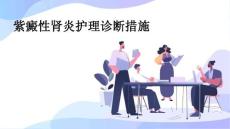 紫癜性肾炎护理诊断措施ppt