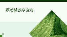 颈动脉狭窄查房ppt