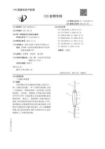 三尖瓣夹持装置