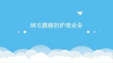 绒毛膜癌的护理业务ppt