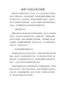麻醉中的临床路径麻醉