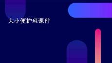 大小便护理课件