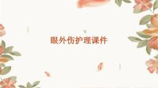 眼外伤护理的课件