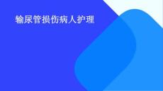 输尿管损伤病人护理ppt
