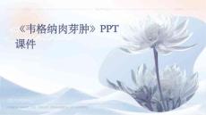 《韦格纳肉芽肿》课件