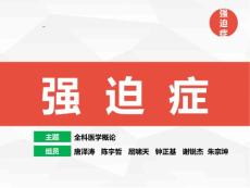 强迫症PPT