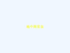 地中海贫血-PPT