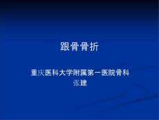 跟骨骨折教学课件