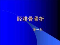 胫腓骨干骨折红软基地课件