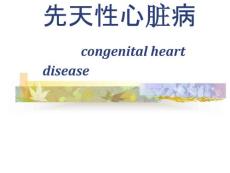 室间隔缺损肺动脉狭窄主动脉骑跨右心室肥厚课件