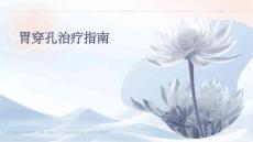 胃穿孔治疗指南