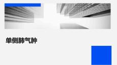 单侧肺气肿
