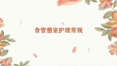 食管憩室护理常规ppt