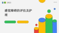 感觉障碍的评估及护理PPT