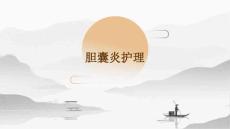 胆囊炎护理ppt
