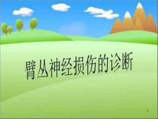 臂丛神经损伤的诊断课件