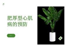 肥厚型心肌病如何预防肥厚型心肌病的发生