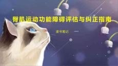 臀肌运动功能障碍评估与纠正指南