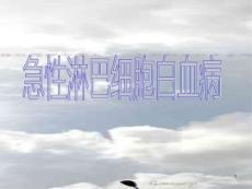 急性淋巴细胞白血病课件