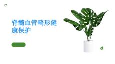 了解脊髓血管畸形保护你的健康
