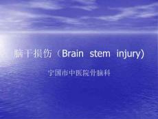 腦干損傷(Brain__stem__injury