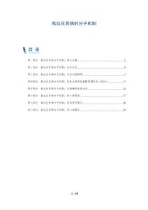 高血压肾病的分子机制