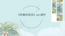 《阳痿的原因》课件