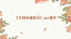 《叉神经痛常识》课件