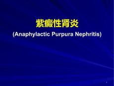 过敏性紫癜性肾炎课件