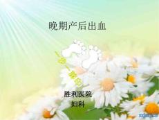 晚期产后出血课件