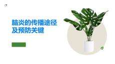 脑炎的传播途径有哪些学会预防脑炎的关键