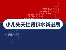 小儿先天性肾积水新进展课件
