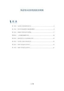 包皮龟头炎的免疫反应机制