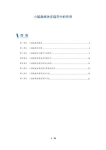 小脑扁桃体在脑卒中的作用