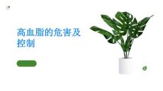 高血脂了解高血脂的危害控制血脂水平