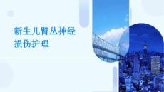 新生儿臂丛神经损伤护理ppt