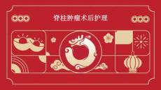脊柱肿瘤术后护理ppt