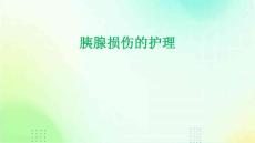 胰腺损伤的护理ppt