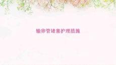输卵管堵塞护理措施ppt
