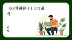 《坐骨神经干》课件