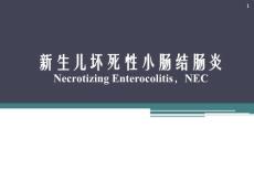 新生儿坏死性小肠结肠炎ppt课件
