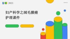 妇产科学之绒毛膜癌护理课件