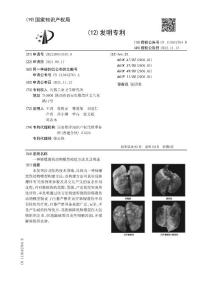 一种肺爆震伤动物模型构建方法及其用途